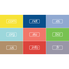 Managed DNS  (6-months)